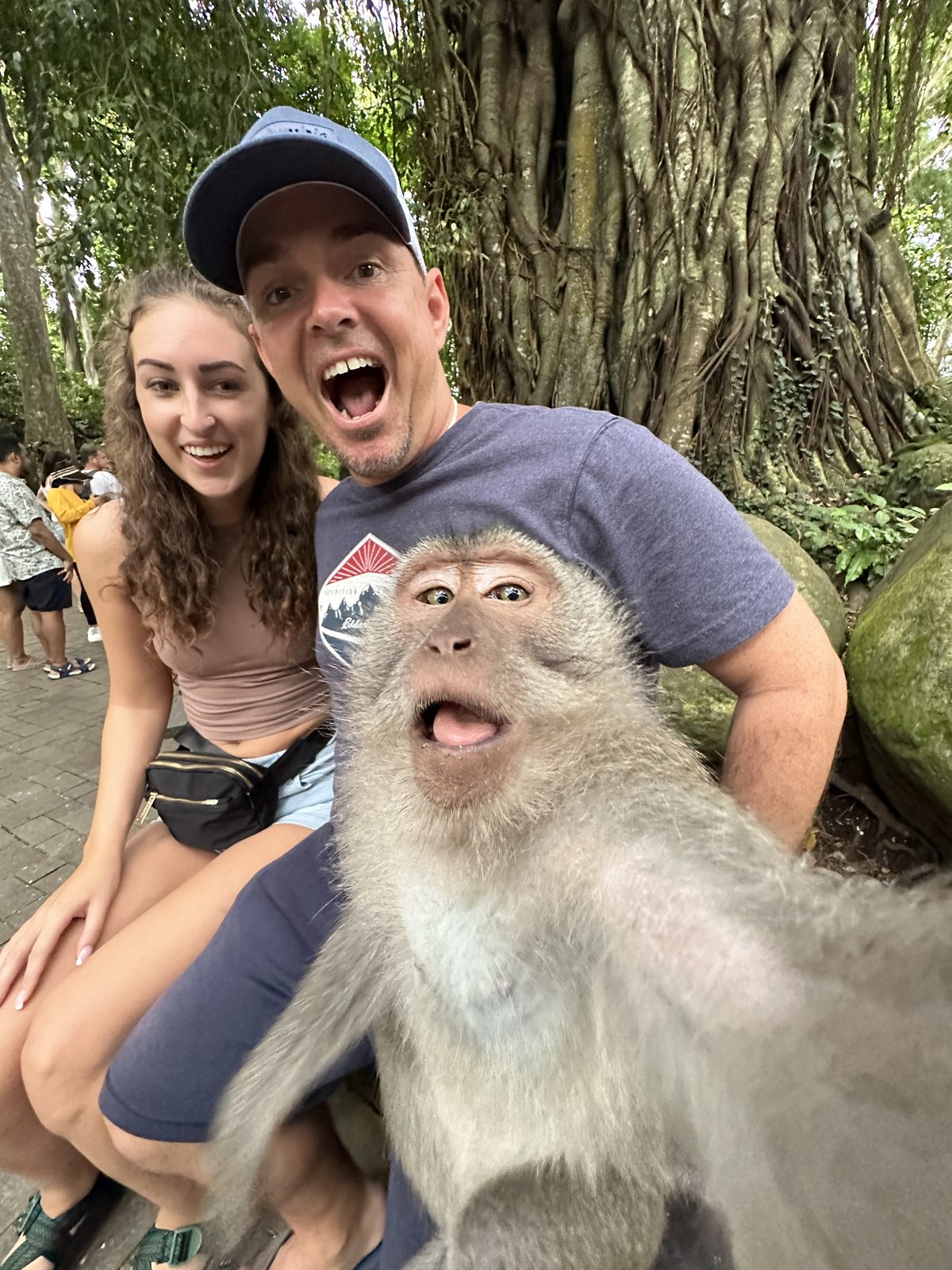 A monkey photobombing Pete and Danielle's selfie in Ubud's Monkey Forest