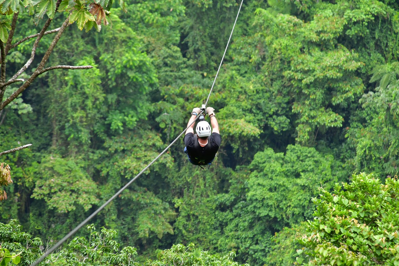Pete ziplining over a rainforest canopy